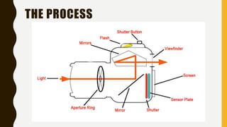 Basics of Photography | PPTX