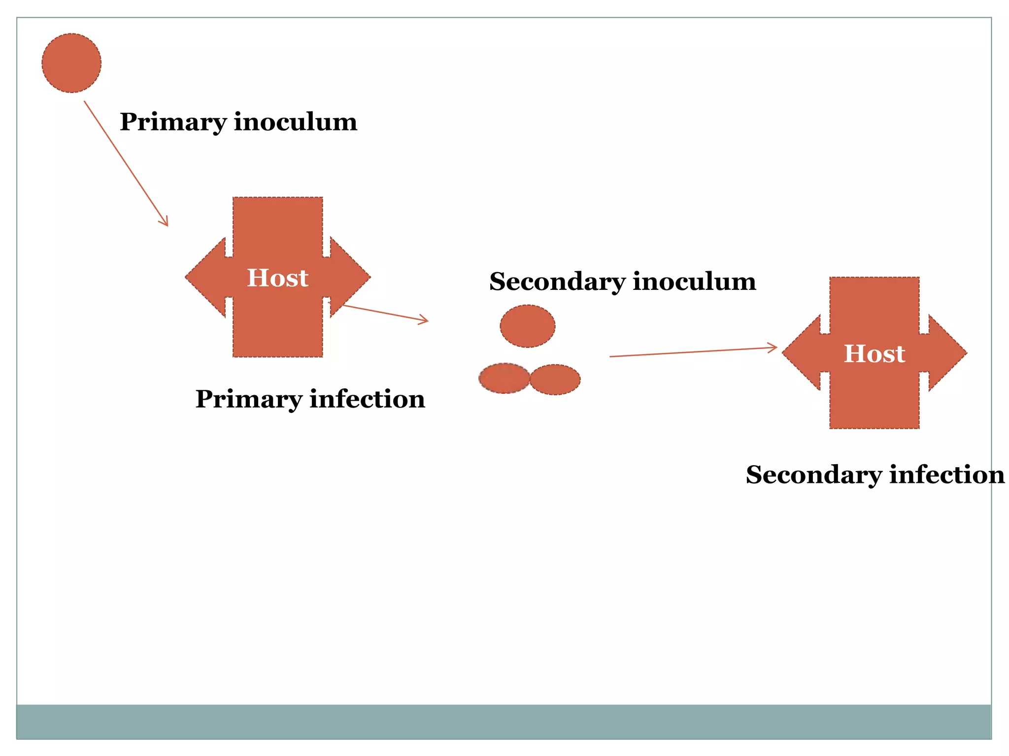Host
Host
Primary inoculum
Primary infection
Secondary inoculum
Secondary infection
 