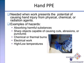 Hand PPE
Needed when work presents the potential of
causing hand injury from physical, chemical, or
radiation agents.
Examples of hazards:
 Absorbing harmful substances
 Sharp objects capable of causing cuts, abrasions, or
punctures
 Chemical or thermal burns
 Electrical work
 High/Low temperatures
 