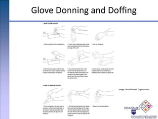 Glove Donning and Doffing
Image: World Health Organization
 