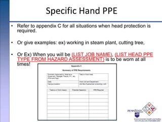 Specific Hand PPE
• Refer to appendix C for all situations when head protection is
required.
• Or give examples: ex) working in steam plant, cutting tree,
• Or Ex) When you will be (LIST JOB NAME), (LIST HEAD PPE
TYPE FROM HAZARD ASSESSMENT) is to be worn at all
times!
 