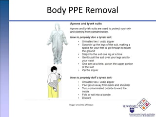 Body PPE Removal
Image: University of Hawaii
 