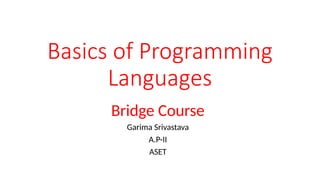 Basics of Programming language -bridge.pptx
