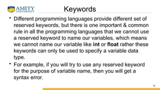 Basics of Programming language -bridge.pptx