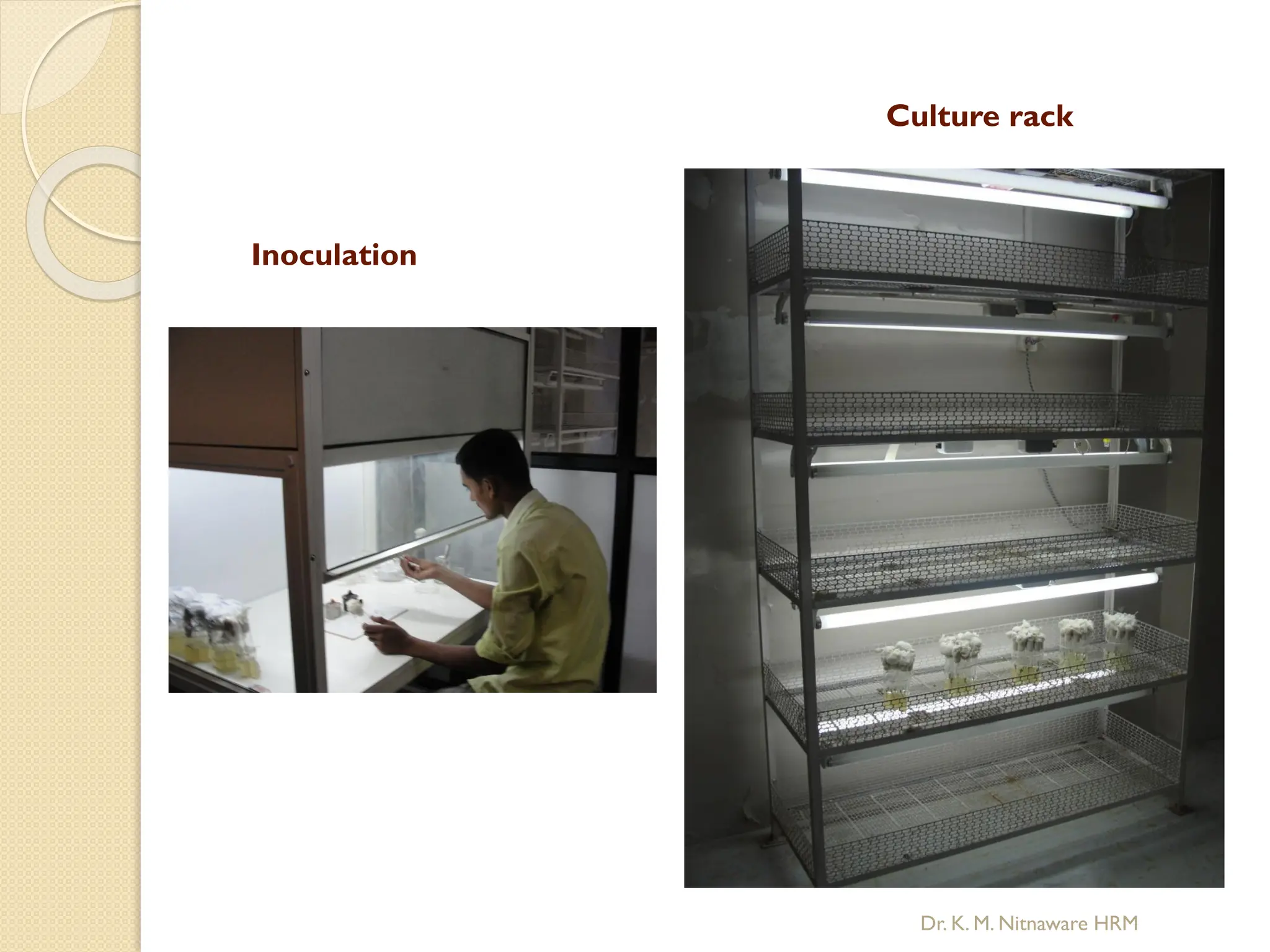 Culture rack
Inoculation
Dr. K. M. Nitnaware HRM
 