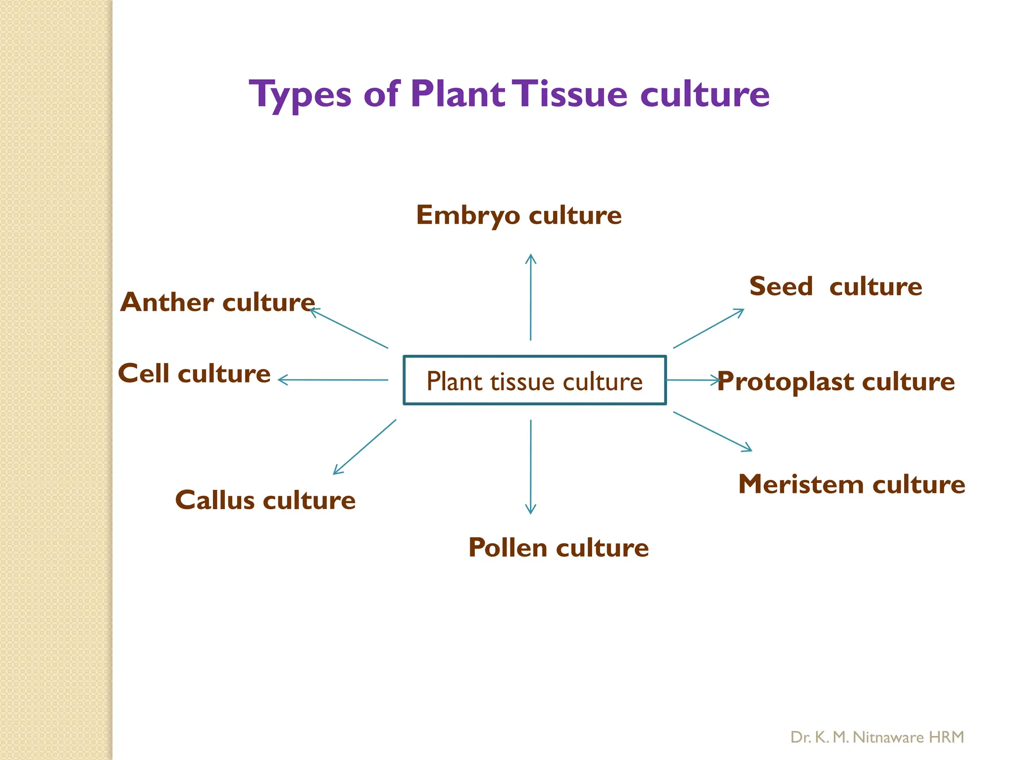 Embryo culture
Plant tissue culture
Seed culture
Protoplast culture
Pollen culture
Meristem culture
Callus culture
Cell culture
Anther culture
Types of PlantTissue culture
Dr. K. M. Nitnaware HRM
 