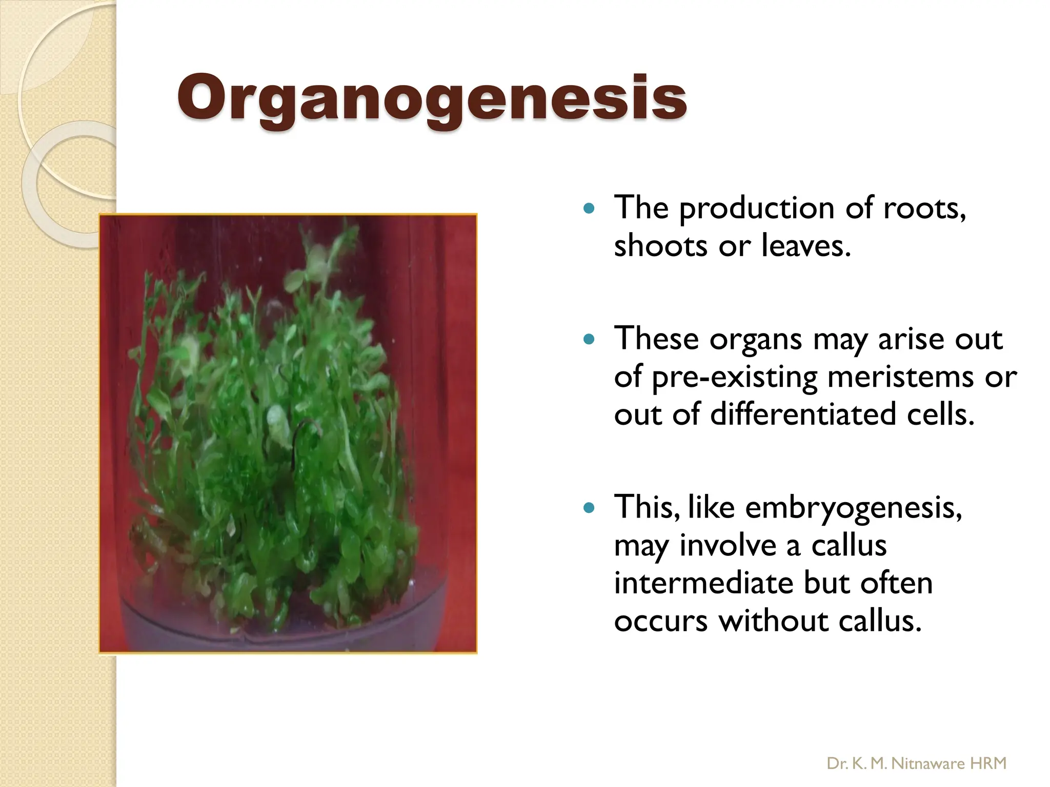 Organogenesis
 The production of roots,
shoots or leaves.
 These organs may arise out
of pre-existing meristems or
out of differentiated cells.
 This, like embryogenesis,
may involve a callus
intermediate but often
occurs without callus.
Dr. K. M. Nitnaware HRM
 