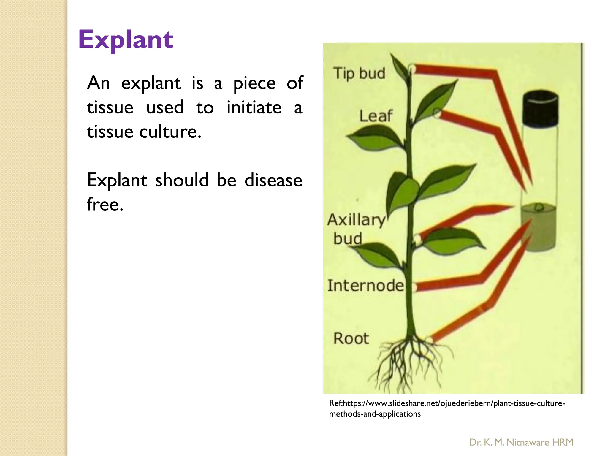 Explant
An explant is a piece of
tissue used to initiate a
tissue culture.
Explant should be disease
free.
Ref:https://www.slideshare.net/ojuederiebern/plant-tissue-culture-
methods-and-applications
Dr. K. M. Nitnaware HRM
 