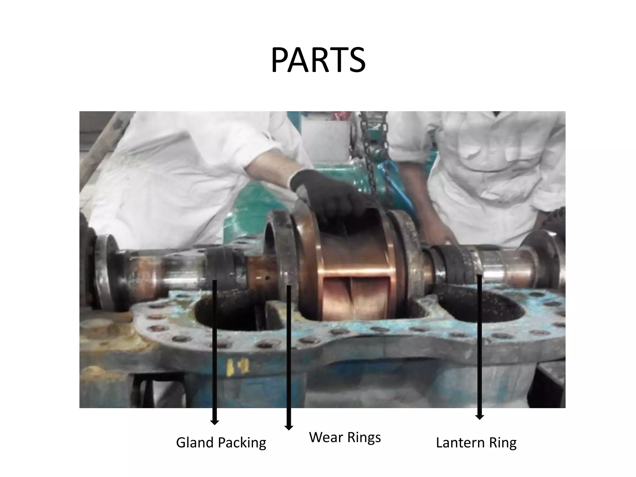PARTS
Wear RingsGland Packing Lantern Ring
 