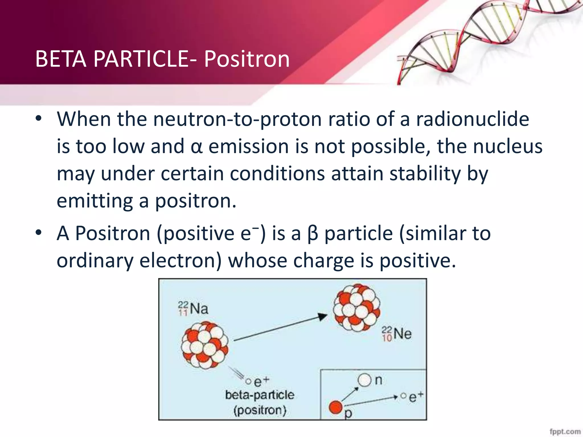 BETA PARTICLE- Positron
• When the neutron-to-proton ratio of a radionuclide
is too low and α emission is not possible, the nucleus
may under certain conditions attain stability by
emitting a positron.
• A Positron (positive e⁻) is a β particle (similar to
ordinary electron) whose charge is positive.
 