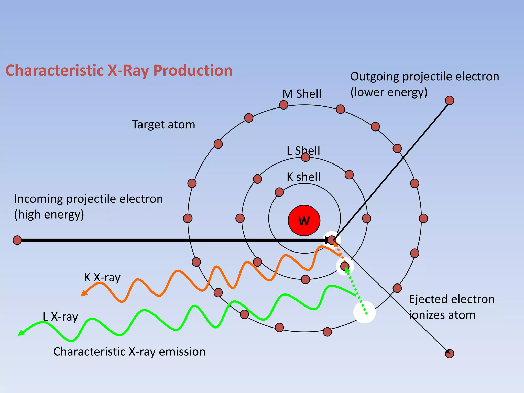 Characteristic X-Ray Production
M Shell

Outgoing projectile electron
(lower energy)

Target atom
L Shell
K shell
Incoming projectile electron
(high energy)

W

K X-ray

L X-ray
Characteristic X-ray emission

Ejected electron
ionizes atom

 