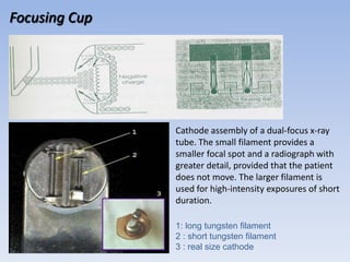 Focusing Cup

Cathode assembly of a dual-focus x-ray
tube. The small filament provides a
smaller focal spot and a radiograph with
greater detail, provided that the patient
does not move. The larger filament is
used for high-intensity exposures of short
duration.
1: long tungsten filament
2 : short tungsten filament
3 : real size cathode

 