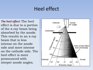 Heel effect
The heel effect: The heel
effect is due to a portion
of the x-ray beam being
absorbed by the anode.
This results in an x-ray
beam that is less
intense on the anode
side and more intense
on the cathode side. The
heel effect is more
pronounced with
steeper anode angles.

 