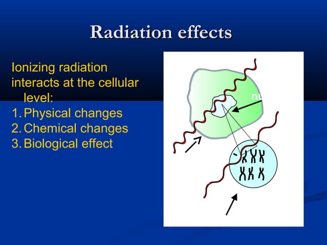 Basics of radiobiology | PPT | Biological Sciences | Science