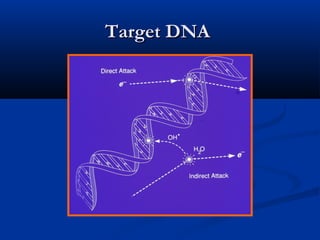 Basics of radiobiology | PPT