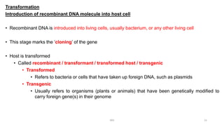 Comprehensive Overview of Gene Cloning and Recombinant DNA Technology | PDF