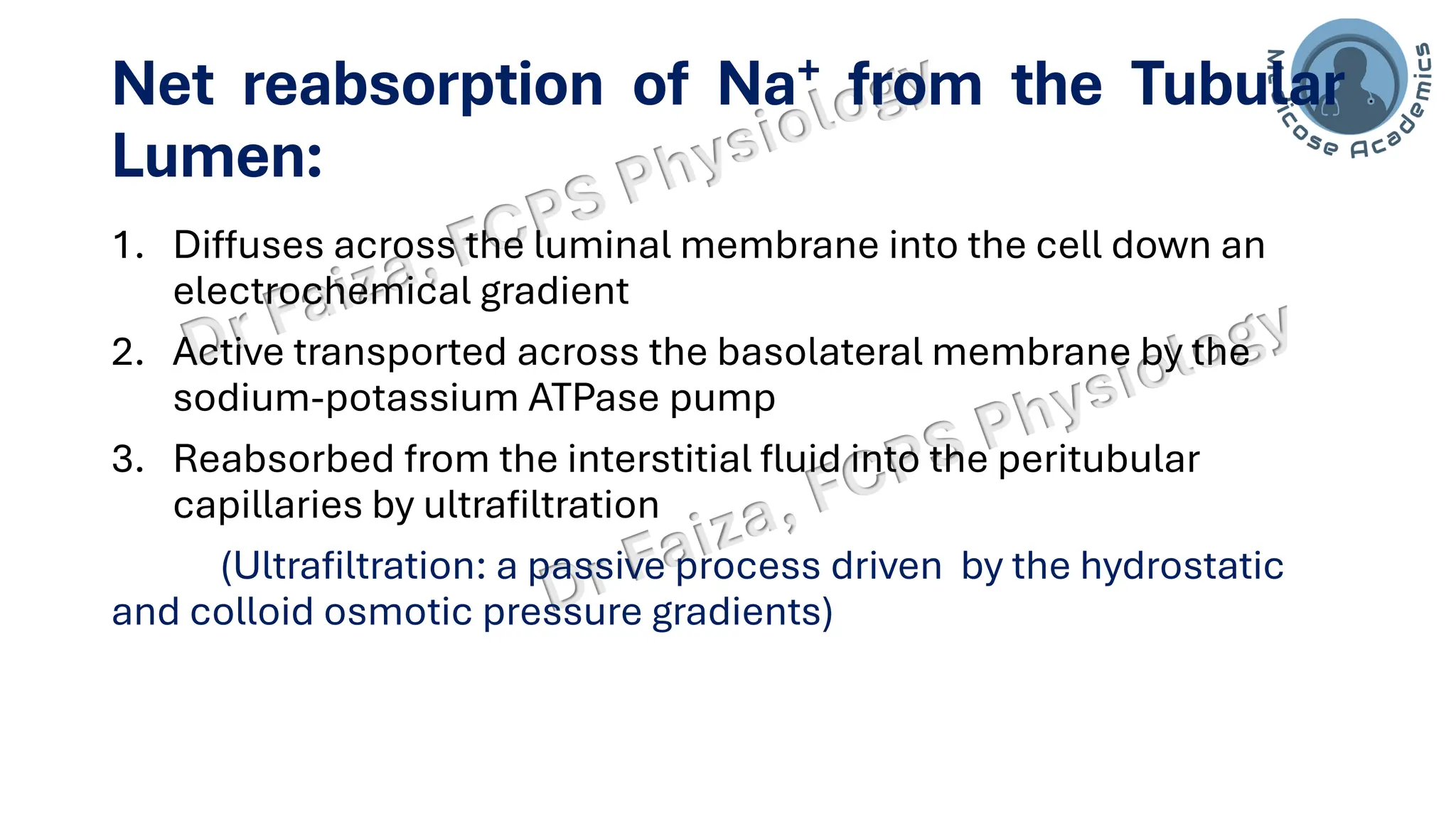 Net reabsorption of Na+ from the Tubular
Lumen:
1. Diffuses across the luminal membrane into the cell down an
electrochemical gradient
2. Active transported across the basolateral membrane by the
sodium-potassium ATPase pump
3. Reabsorbed from the interstitial fluid into the peritubular
capillaries by ultrafiltration
(Ultrafiltration: a passive process driven by the hydrostatic
and colloid osmotic pressure gradients)
 