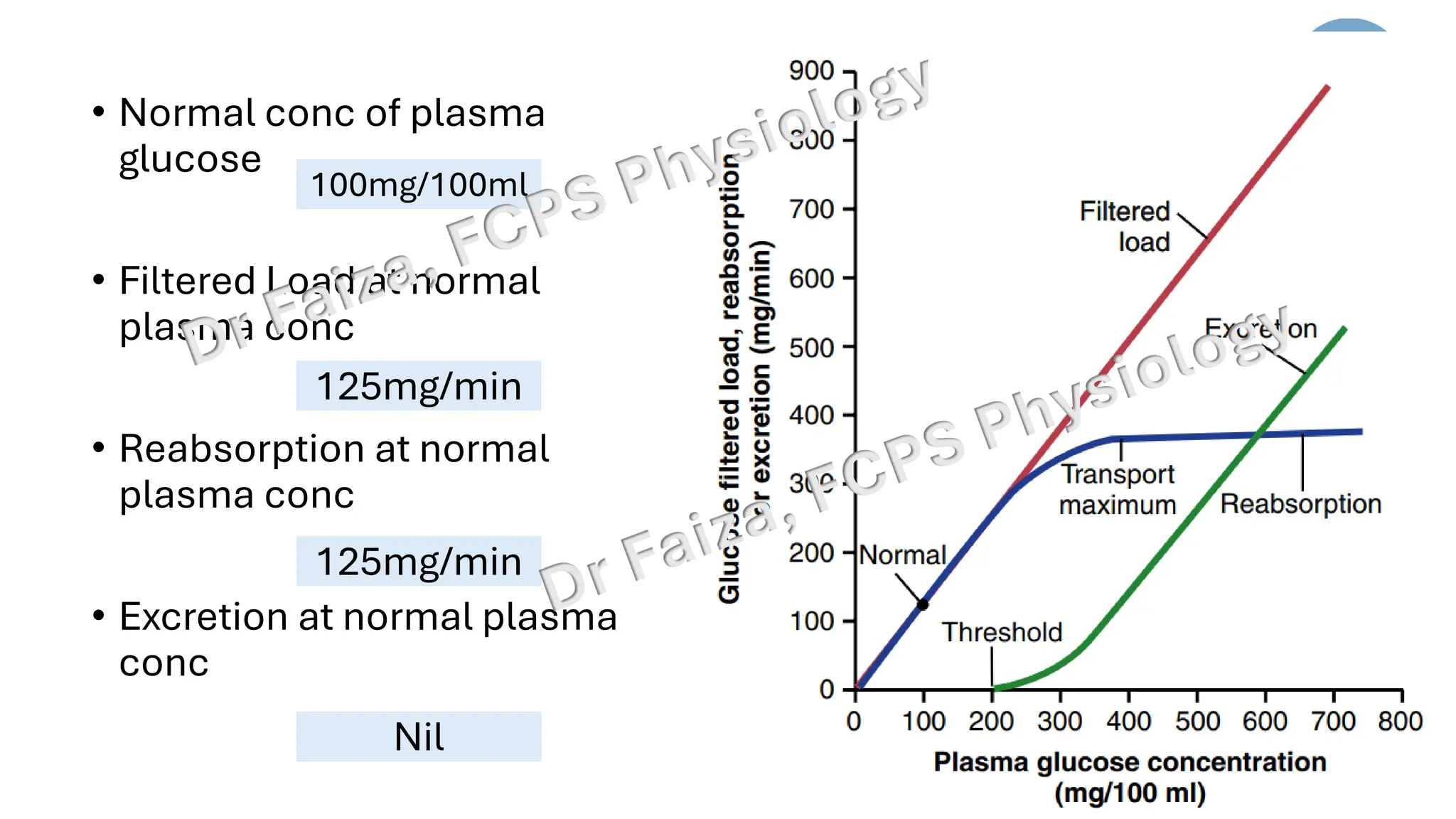 • Normal conc of plasma
glucose
• Filtered Load at normal
plasma conc
• Reabsorption at normal
plasma conc
• Excretion at normal plasma
conc
100mg/100ml
125mg/min
125mg/min
Nil
 