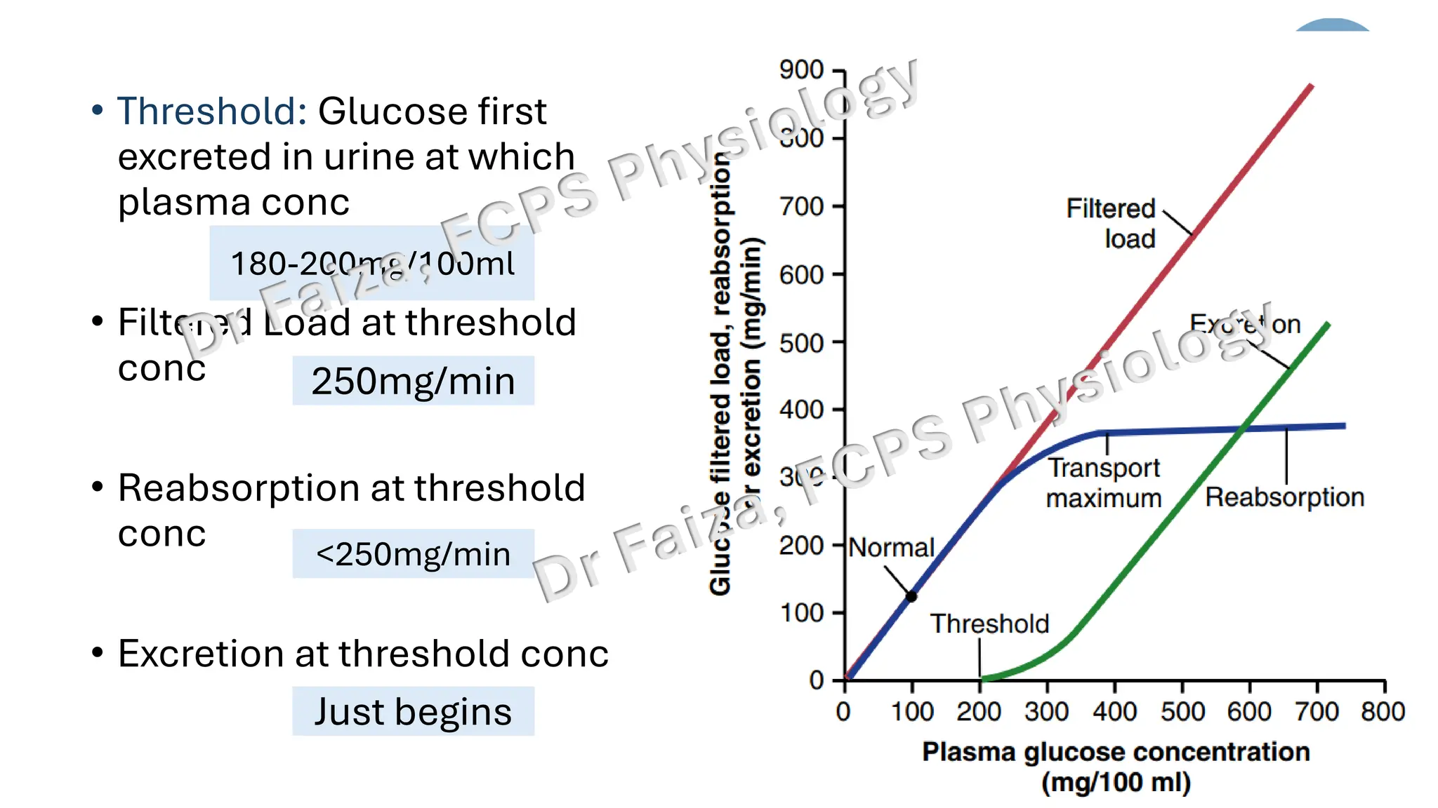 • Threshold: Glucose first
excreted in urine at which
plasma conc
• Filtered Load at threshold
conc
• Reabsorption at threshold
conc
• Excretion at threshold conc
180-200mg/100ml
250mg/min
<250mg/min
Just begins
 