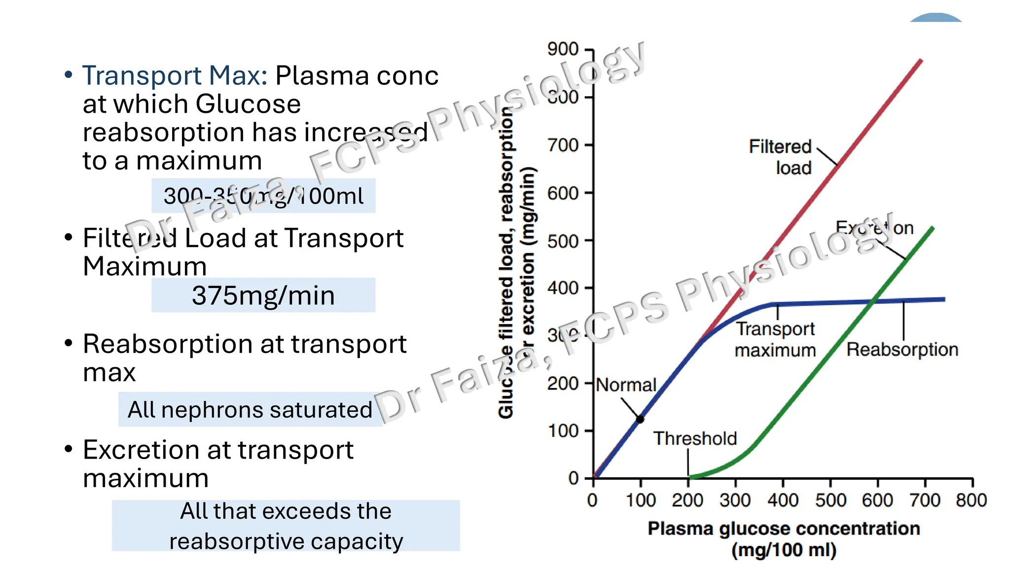 • Transport Max: Plasma conc
at which Glucose
reabsorption has increased
to a maximum
• Filtered Load at Transport
Maximum
• Reabsorption at transport
max
• Excretion at transport
maximum
300-350mg/100ml
375mg/min
All nephrons saturated
All that exceeds the
reabsorptive capacity
 