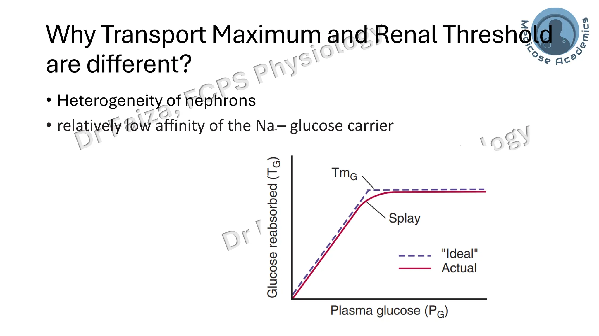 Why Transport Maximum and Renal Threshold
are different?
• Heterogeneity of nephrons
• relatively low affinity of the Na+– glucose carrier
 