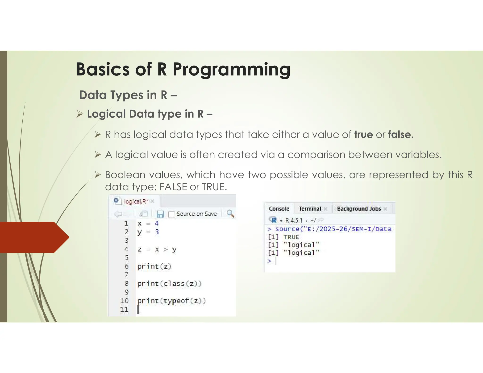 Basics of R Programming Data Types in R –  Logical Data type in R –  R has logical data types that take either a value of true or false.  A logical value is often created via a comparison between variables.  Boolean values, which have two possible values, are represented by this R data type: FALSE or TRUE. 