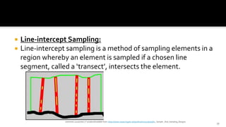 Line Sampling Method Geography Basics of sampling | PPTX