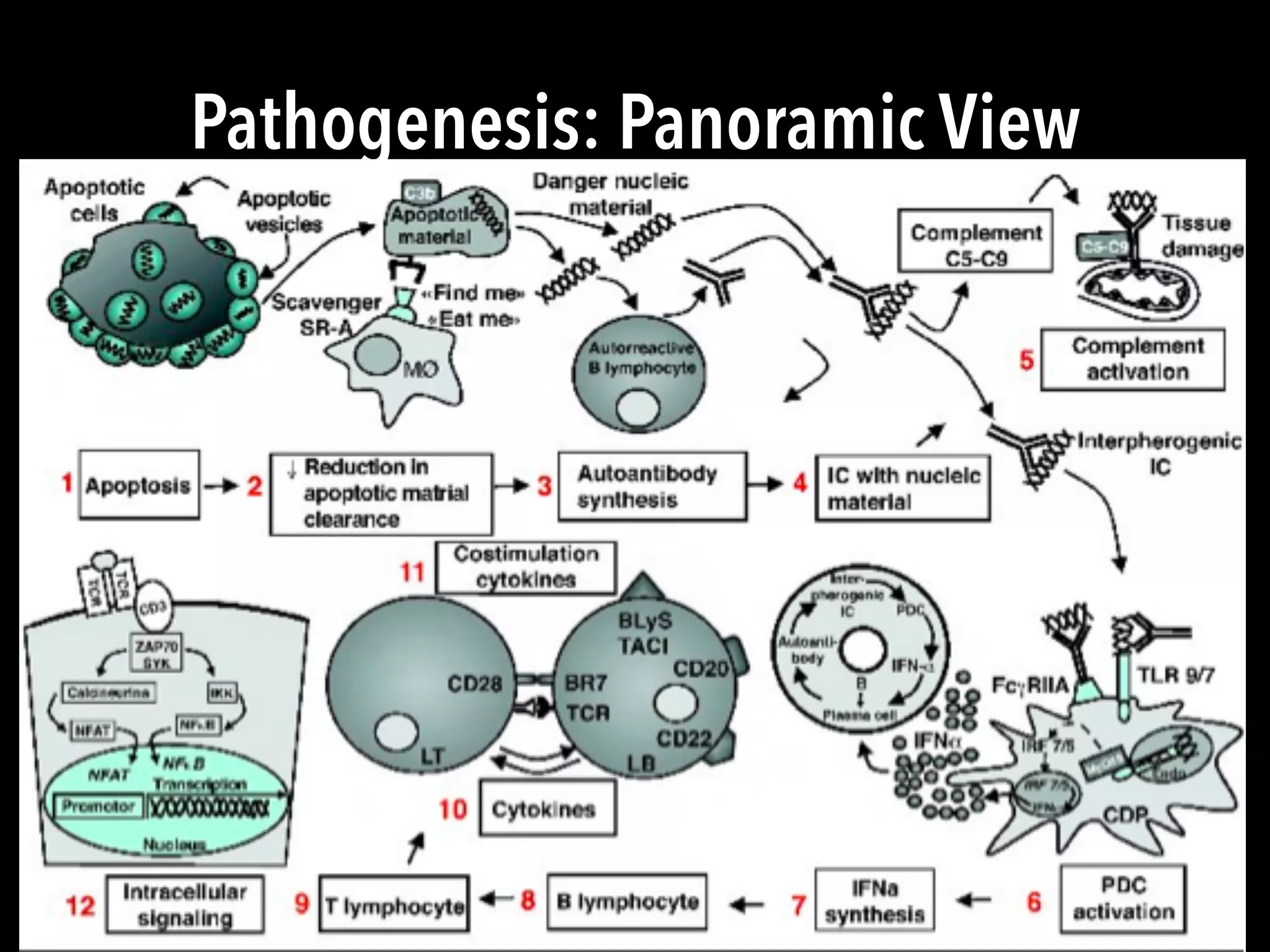 Pathogenesis: Panoramic View
 