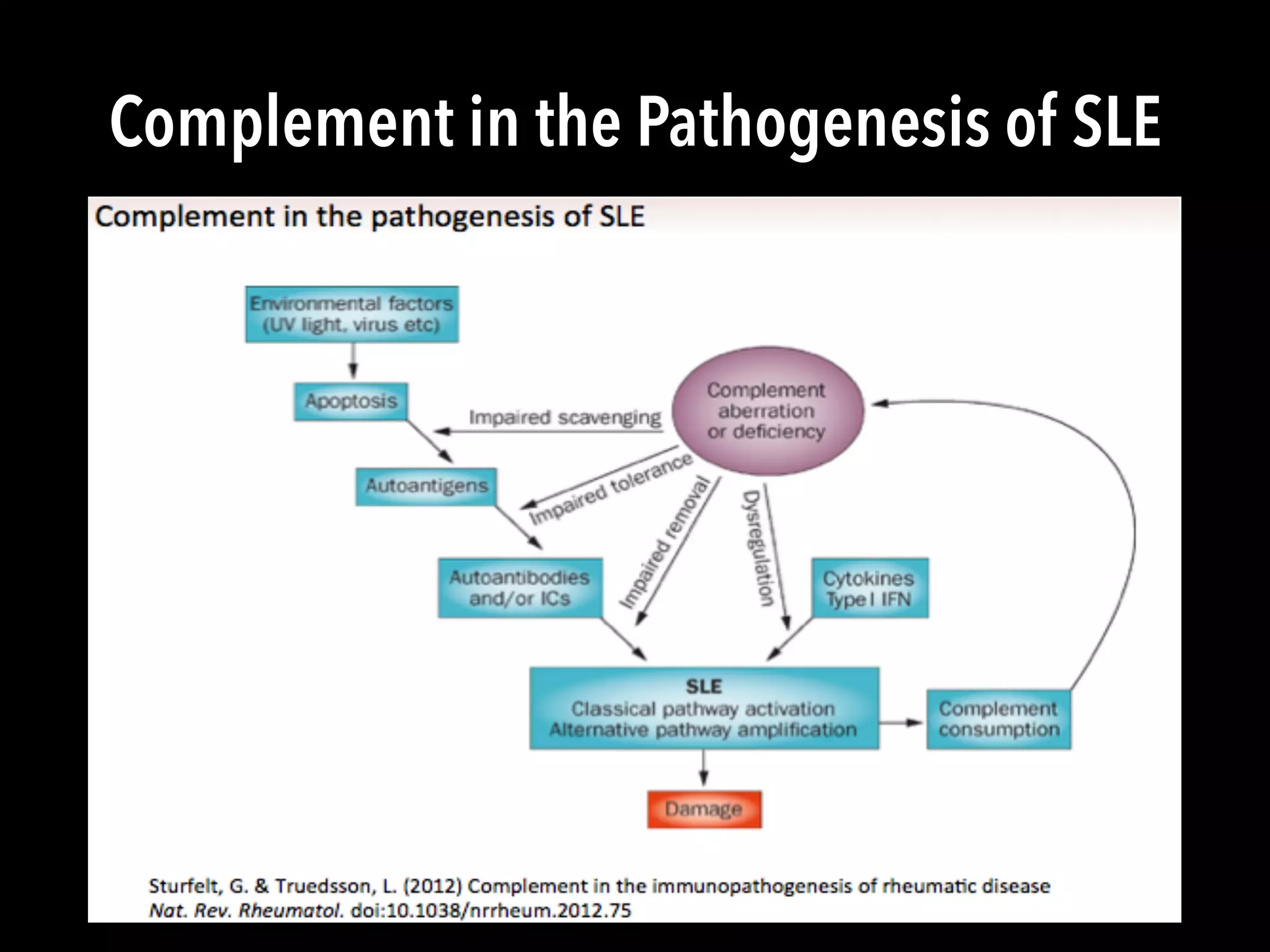 Complement in the Pathogenesis of SLE
 