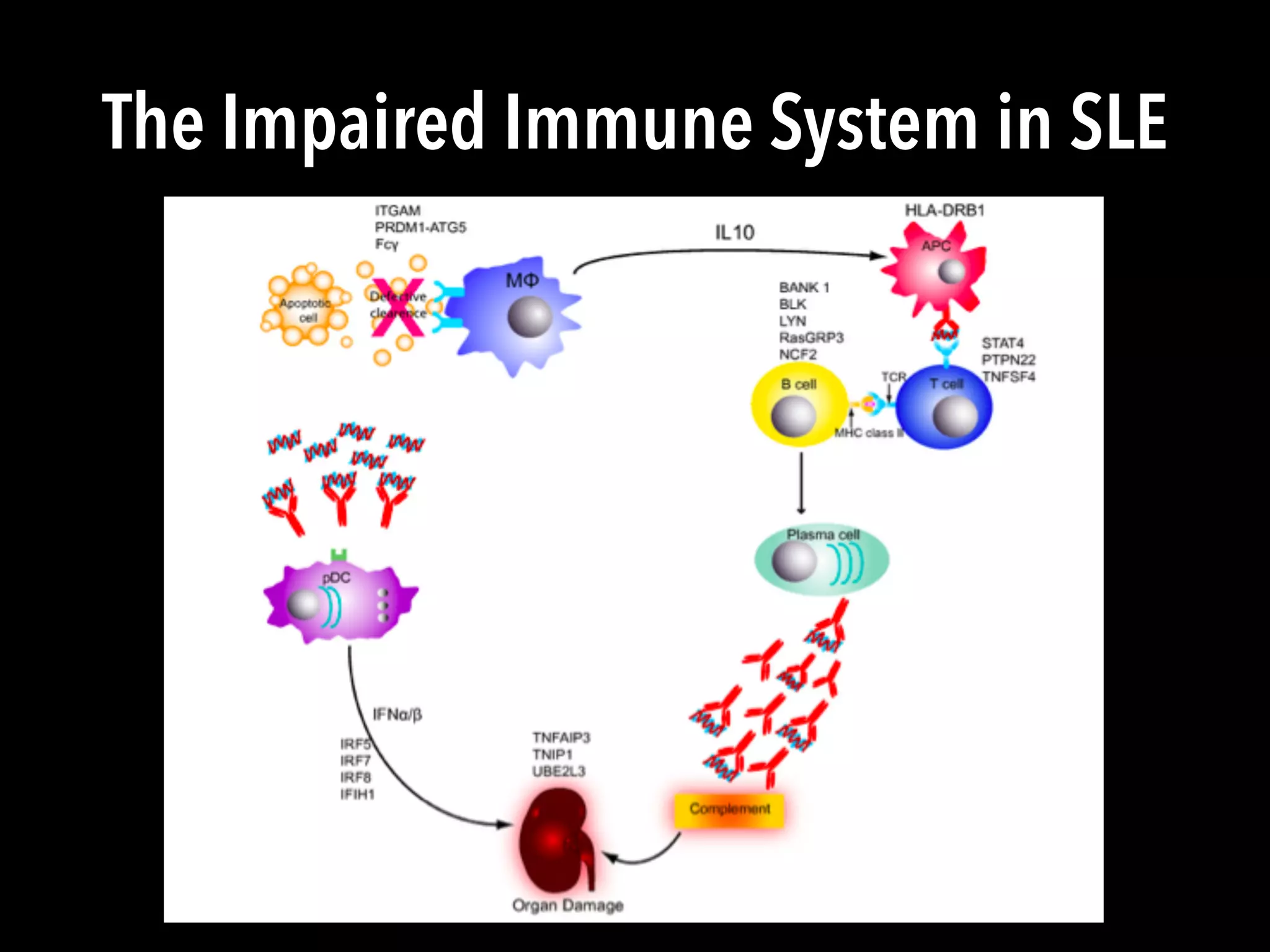 The Impaired Immune System in SLE
 