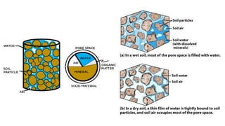 Basics of Soil Science an introduction.pptx
