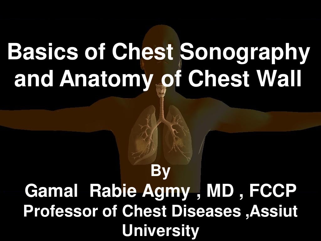 Basics of Chest Sonography and Anatomy of Chest Wall