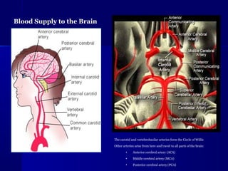 Basics of stroke(CVA) Management | PPT