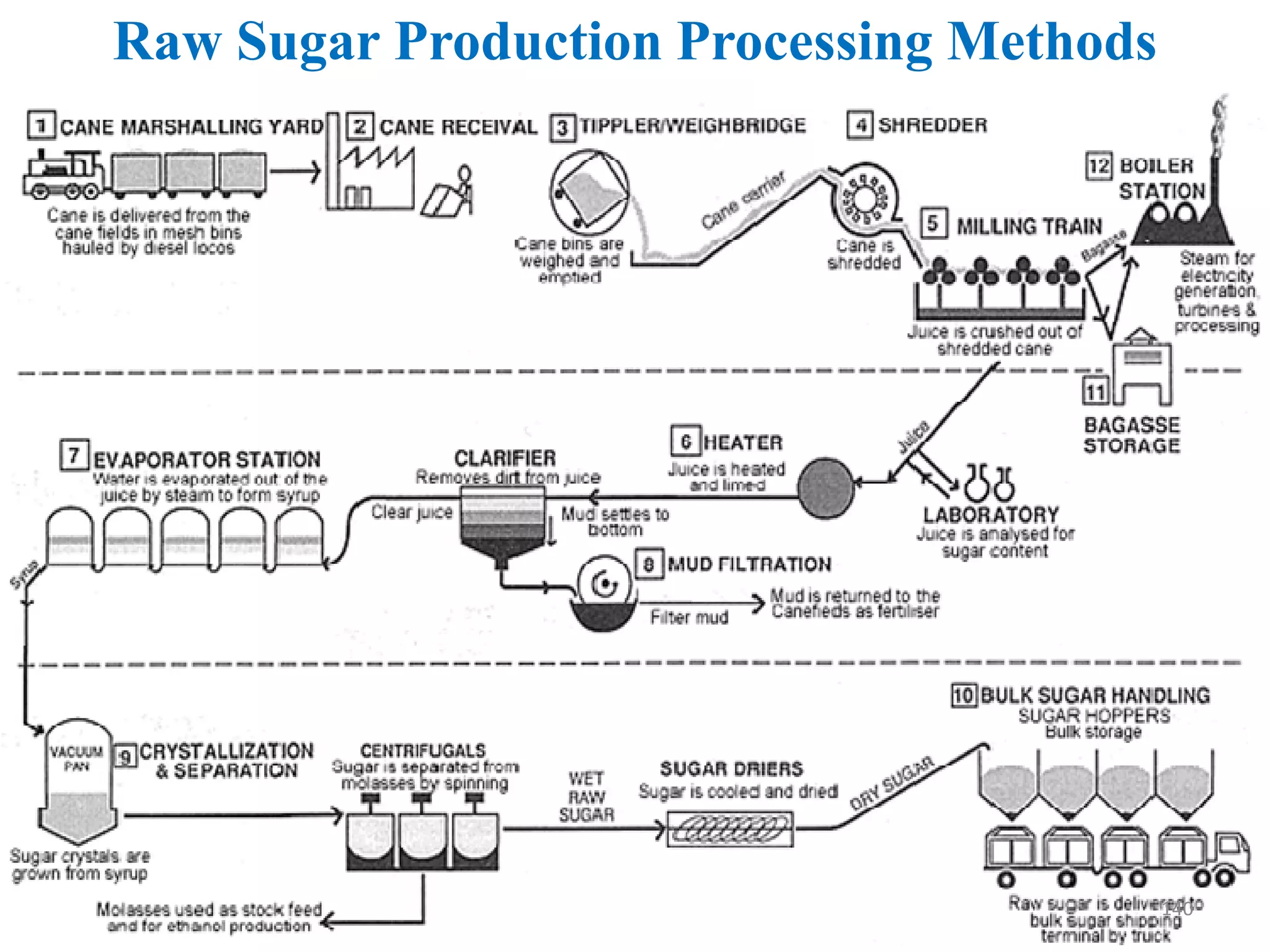 Raw Sugar Production Processing Methods
140
 