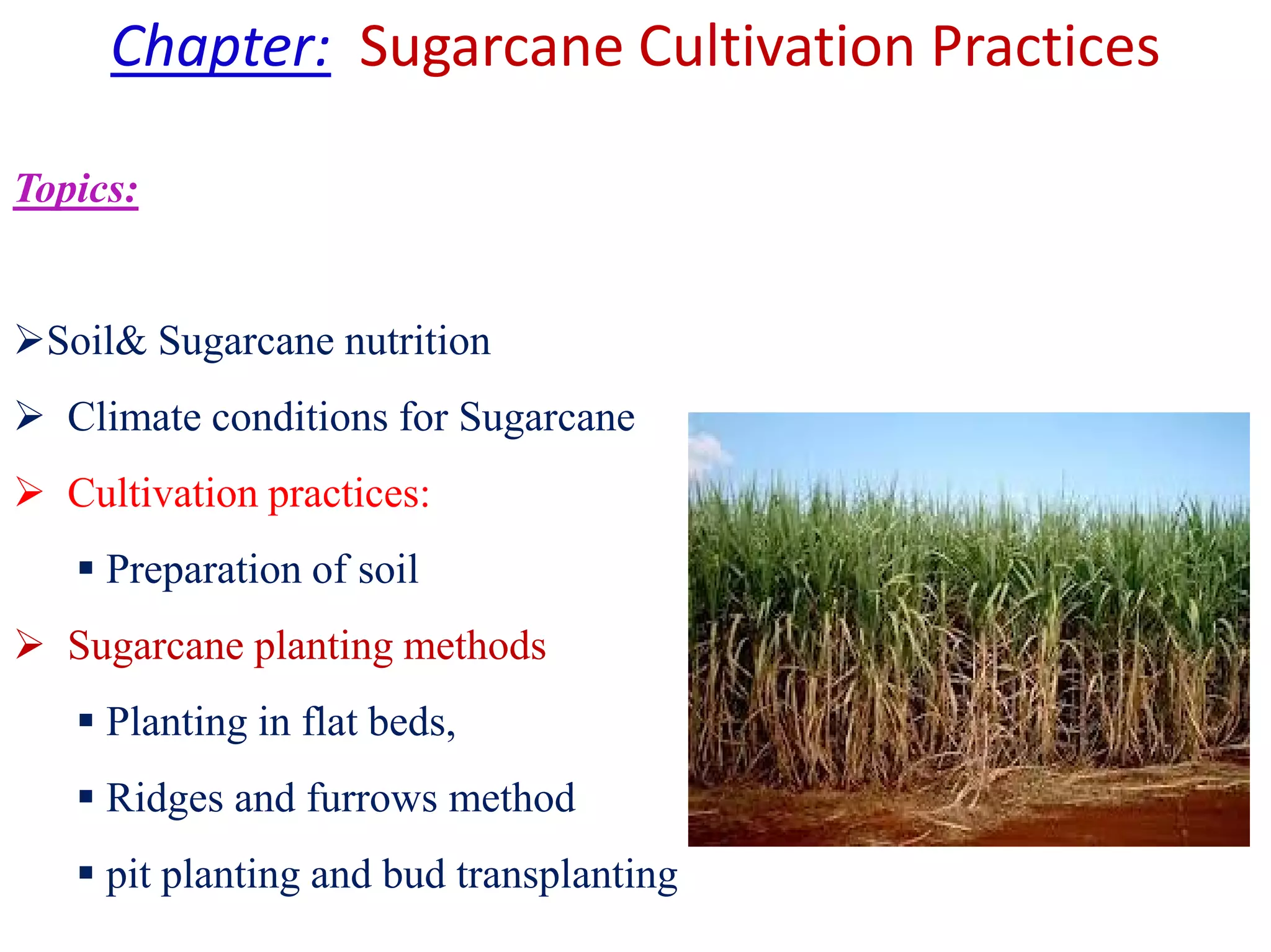 Chapter: Sugarcane Cultivation Practices
Topics:
Soil& Sugarcane nutrition
 Climate conditions for Sugarcane
 Cultivation practices: Cultivation practices:
 Preparation of soil
 Sugarcane planting methods
 Planting in flat beds,
 Ridges and furrows method
 pit planting and bud transplanting
 