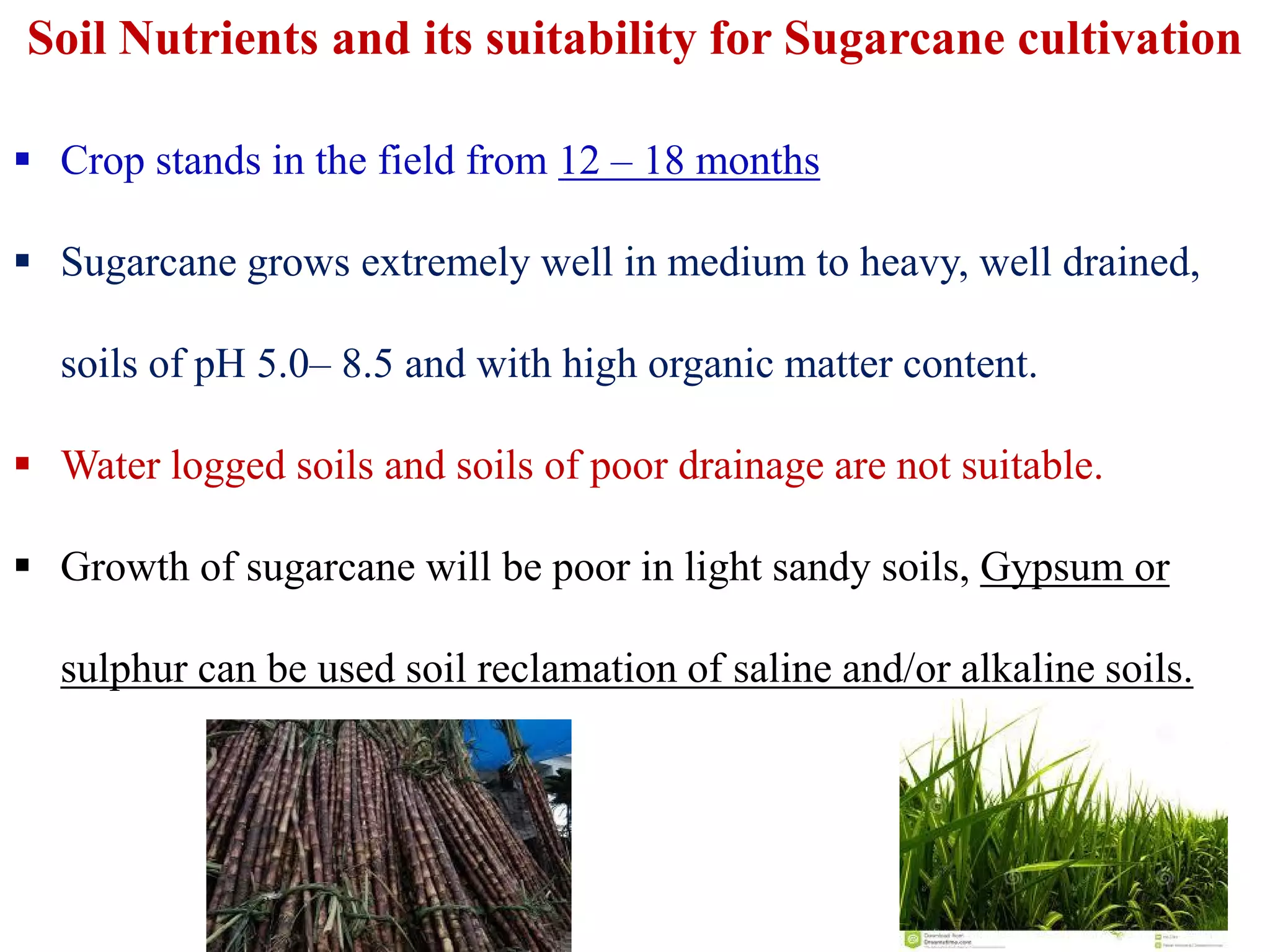 Soil Nutrients and its suitability for Sugarcane cultivation
 Crop stands in the field from 12 – 18 months
 Sugarcane grows extremely well in medium to heavy, well drained,
soils of pH 5.0– 8.5 and with high organic matter content.
 Water logged soils and soils of poor drainage are not suitable. Water logged soils and soils of poor drainage are not suitable.
 Growth of sugarcane will be poor in light sandy soils, Gypsum or
sulphur can be used soil reclamation of saline and/or alkaline soils.
 