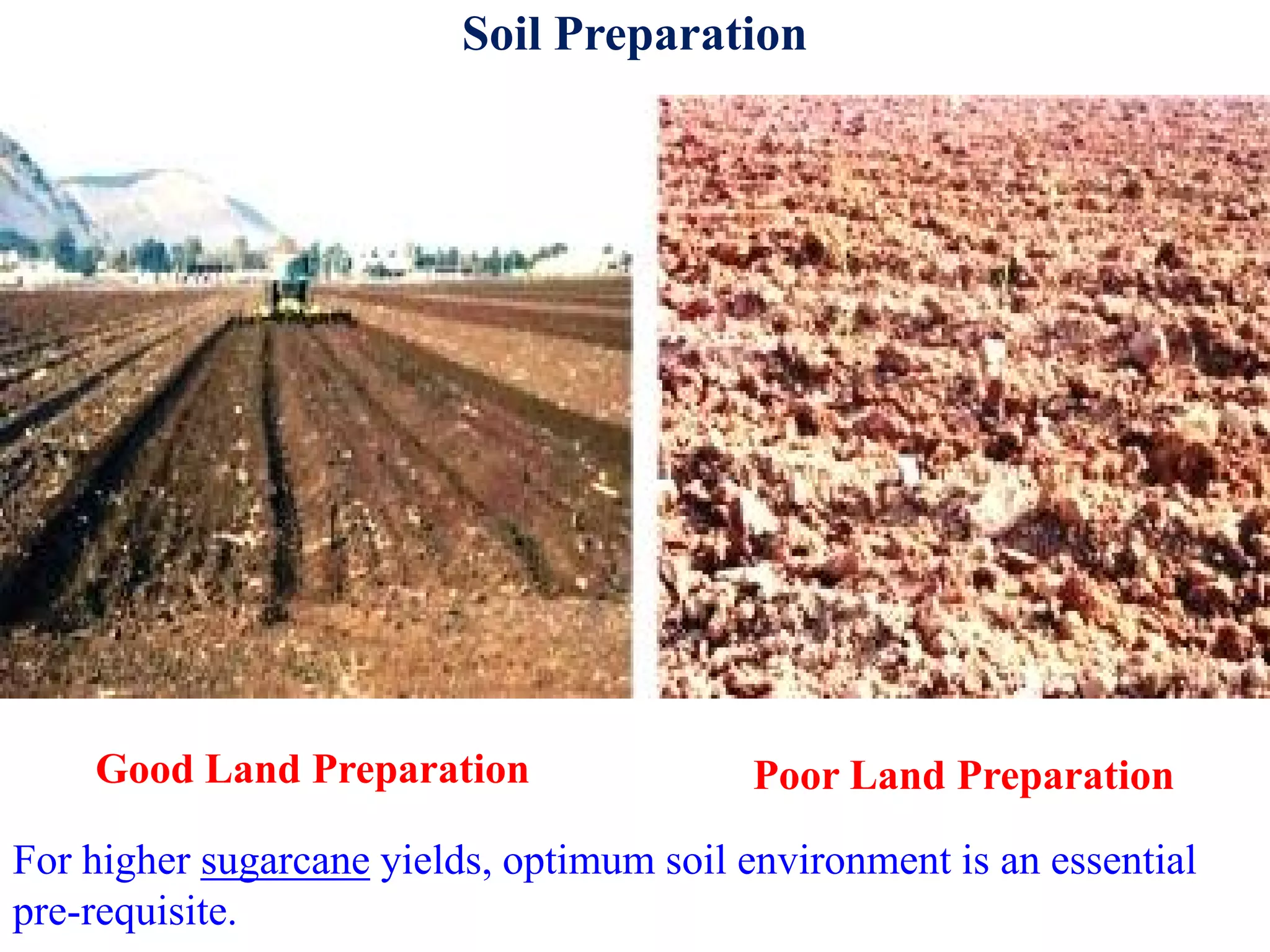Soil Preparation
Good Land Preparation Poor Land Preparation
For higher sugarcane yields, optimum soil environment is an essential
pre-requisite.
 