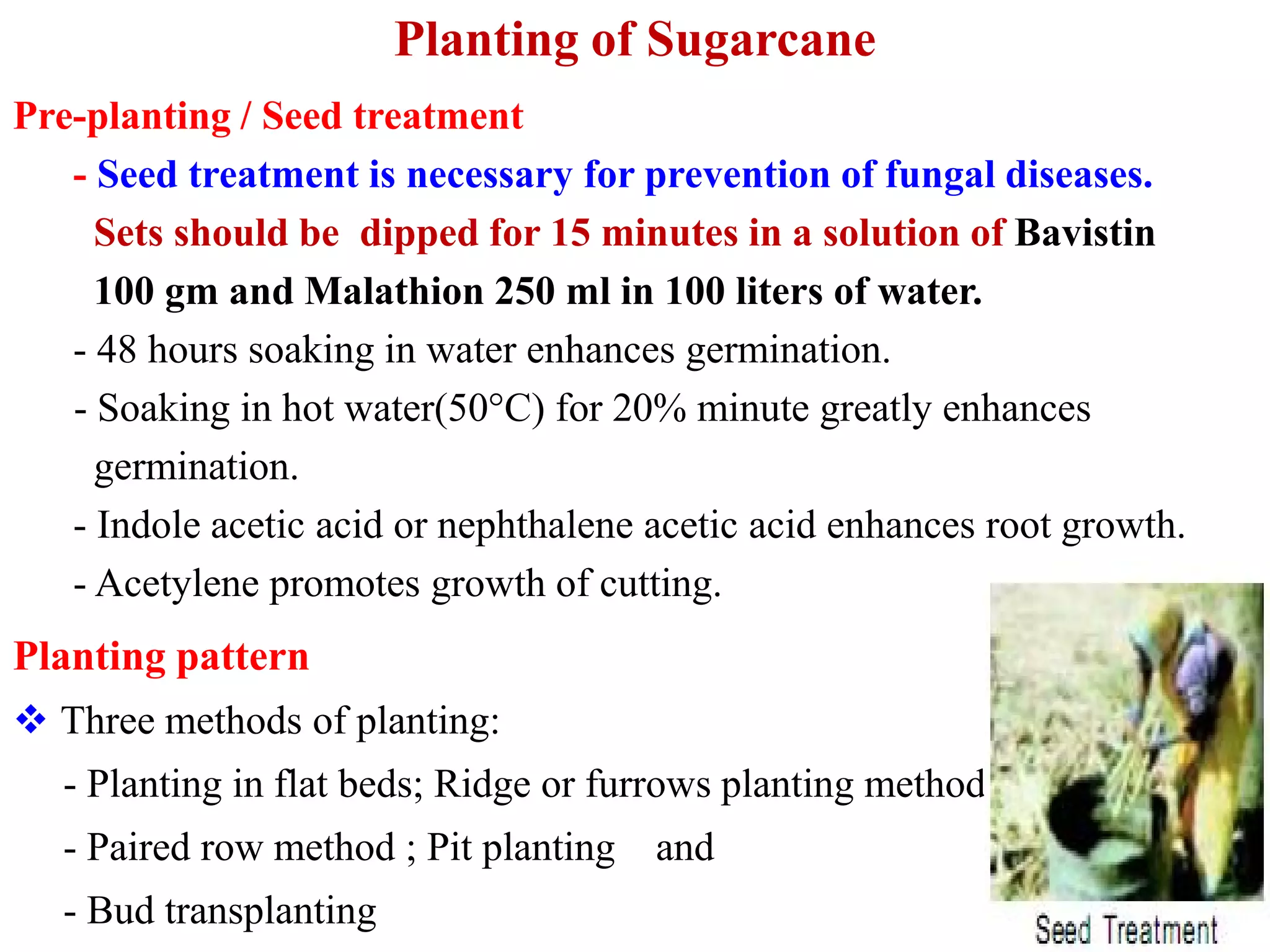 Planting of Sugarcane
Pre-planting / Seed treatment
- Seed treatment is necessary for prevention of fungal diseases.
Sets should be dipped for 15 minutes in a solution of Bavistin
100 gm and Malathion 250 ml in 100 liters of water.
- 48 hours soaking in water enhances germination.
- Soaking in hot water(50°C) for 20% minute greatly enhances
germination.
Planting pattern
 Three methods of planting:
- Planting in flat beds; Ridge or furrows planting method
- Paired row method ; Pit planting and
- Bud transplanting
germination.
- Indole acetic acid or nephthalene acetic acid enhances root growth.
- Acetylene promotes growth of cutting.
 