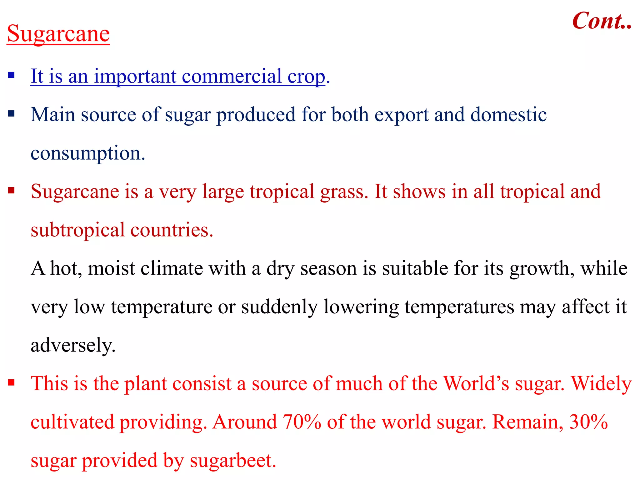 Sugarcane
 It is an important commercial crop.
 Main source of sugar produced for both export and domestic
consumption.
 Sugarcane is a very large tropical grass. It shows in all tropical and
subtropical countries.
Cont..
subtropical countries.
A hot, moist climate with a dry season is suitable for its growth, while
very low temperature or suddenly lowering temperatures may affect it
adversely.
 This is the plant consist a source of much of the World’s sugar. Widely
cultivated providing. Around 70% of the world sugar. Remain, 30%
sugar provided by sugarbeet.
 