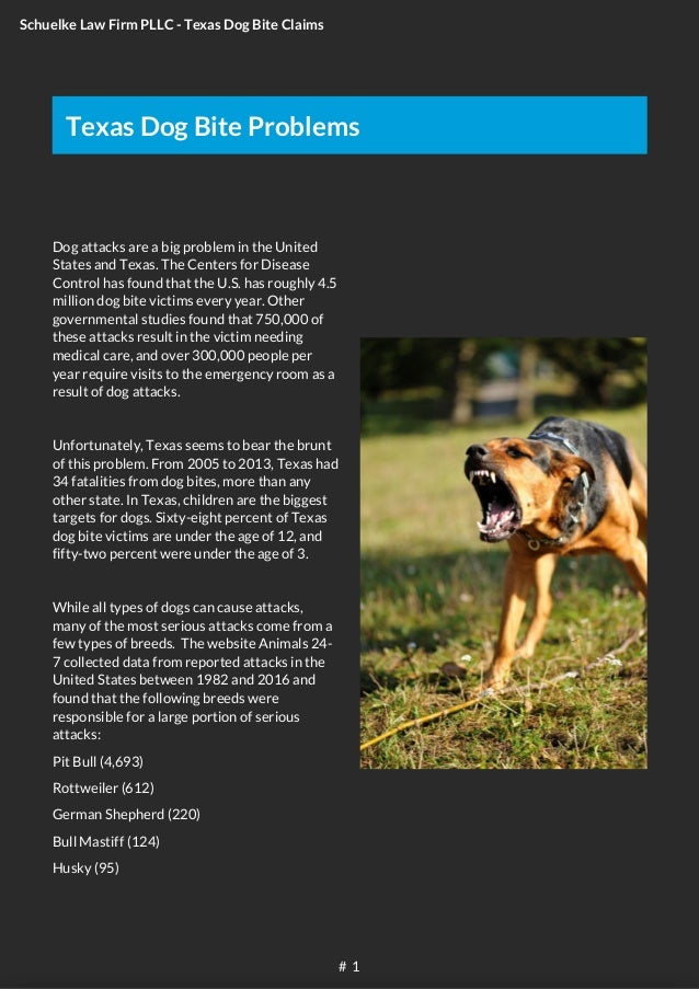 Texas Dog Bite Claims