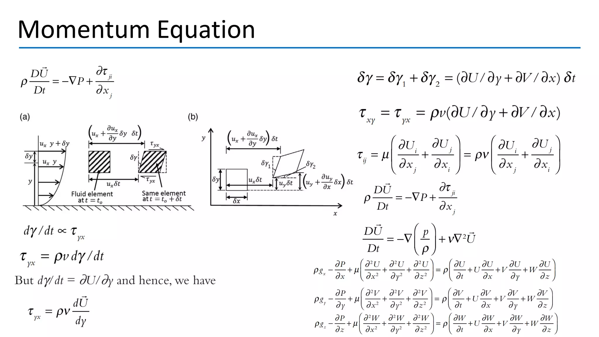 Momentum Equation
 