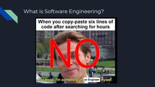 What is Software Engineering?
 