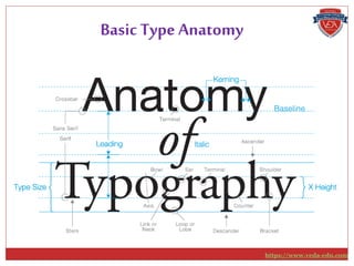 Basic Type Anatomy
https://www.veda-edu.com
 