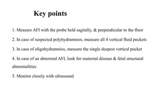 Afi Measure BASICS OF ULTRASOUND new use PPT(1).pptx