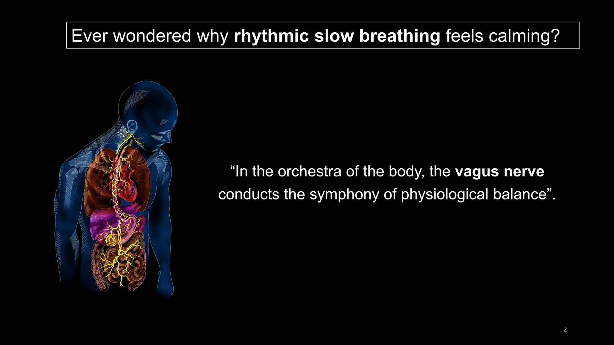 Vagal Nerve Stimulation at Home Practices