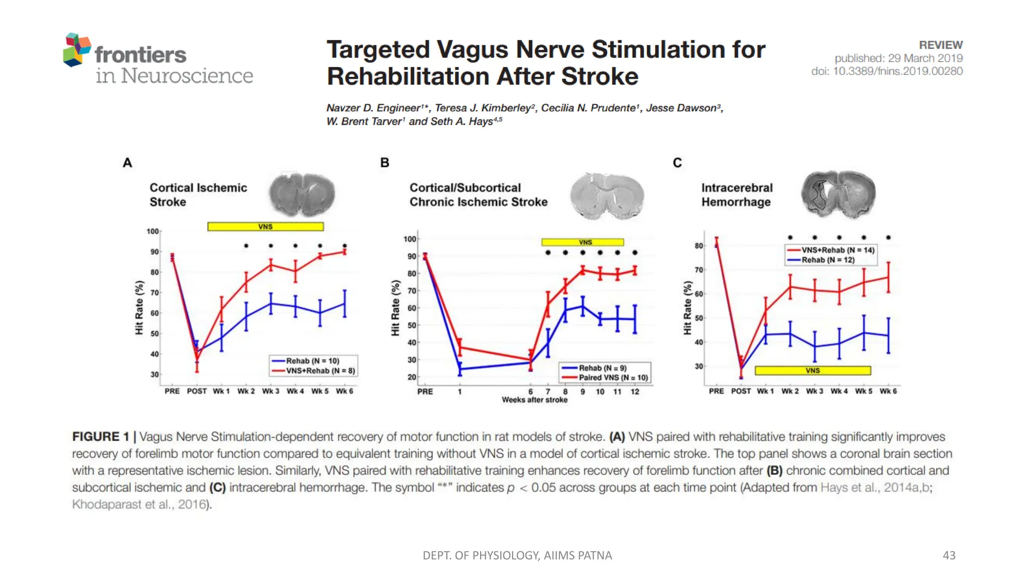 Basics of Vagal Nerve Stimulation (VNS) | PDF
