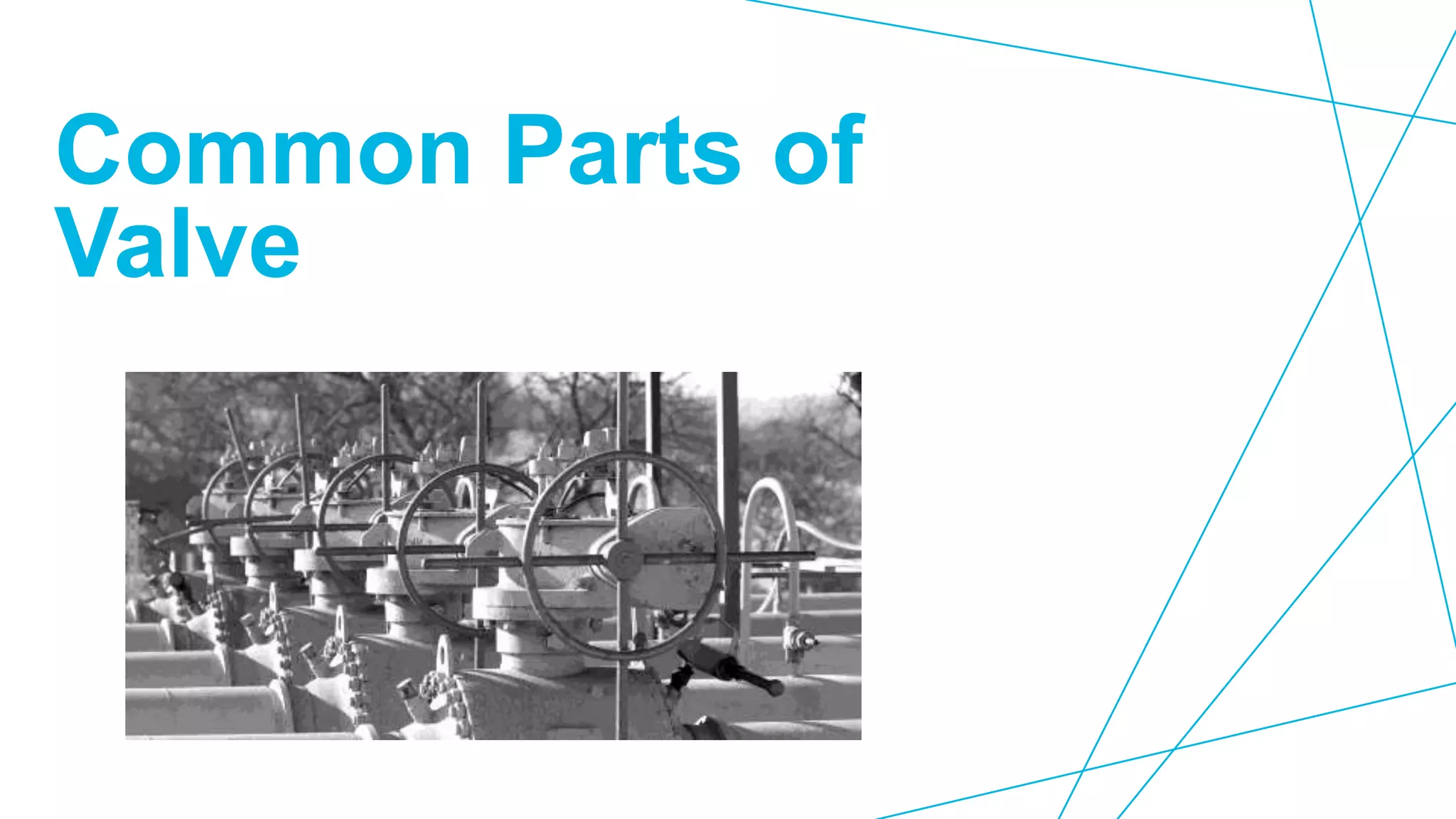Basics of valves | PPTX