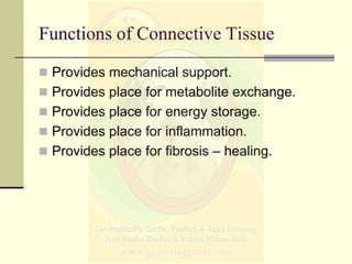 Functions of Connective Tissue
 Provides mechanical support.
 Provides place for metabolite exchange.
 Provides place f...