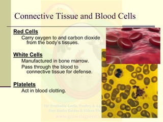 Connective Tissue and Blood Cells
Red Cells
Carry oxygen to and carbon dioxide
from the body’s tissues.
White Cells
Manufa...