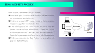 Basics of Web Development.pptx
